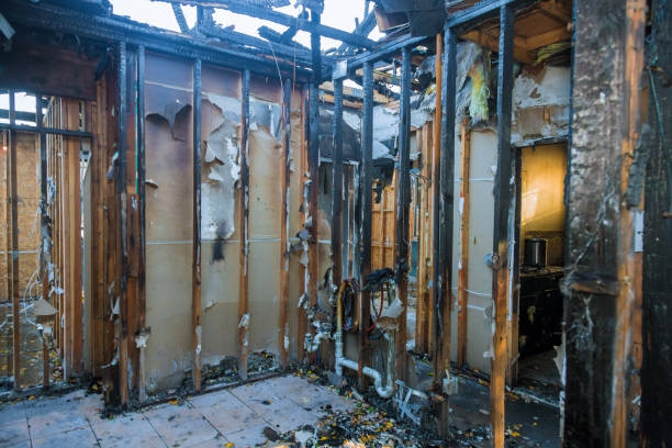Professional Fire Damage Restoration technician working in Sun City Center, FL