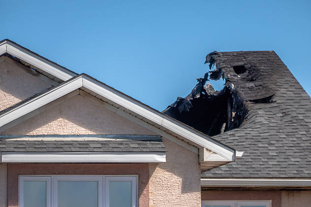 Top rated local Fire Damage Restoration specialists in Sun City Center, FL